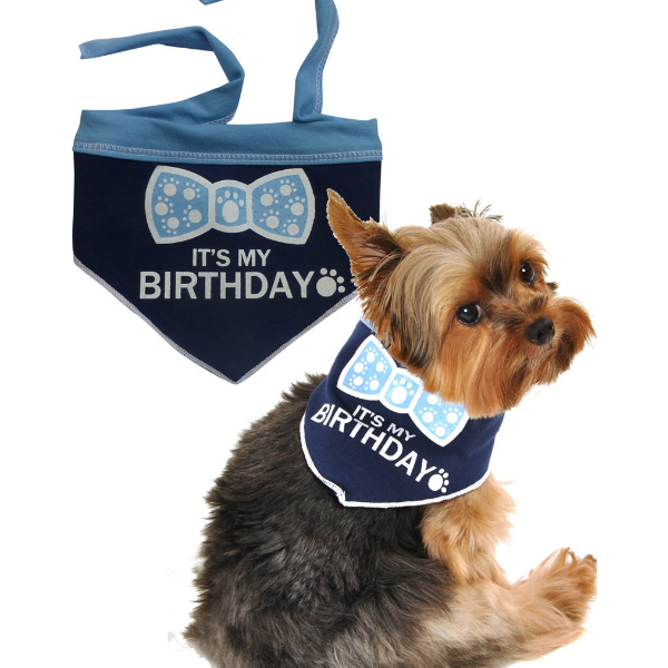 dog birthday scarf